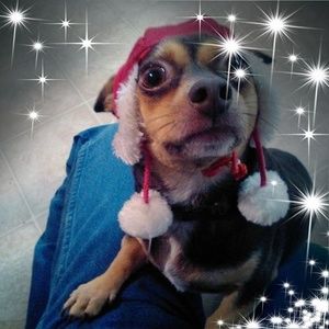 Meet your Posher, Tom